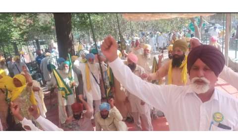 Punjab-Farmers-Staged-Dharna-Protest-In-Front-Of-Dc-Offices
