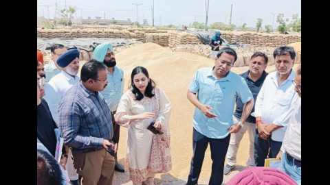 Md-Markfed-Visits-Mandis-In-Ludhiana-Moga-And-Ferozepur-Along-With-Dcs-To-Ensure-Smooth-Procurement-Operations